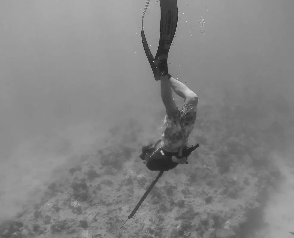 the greatest spearfishing guide ever created