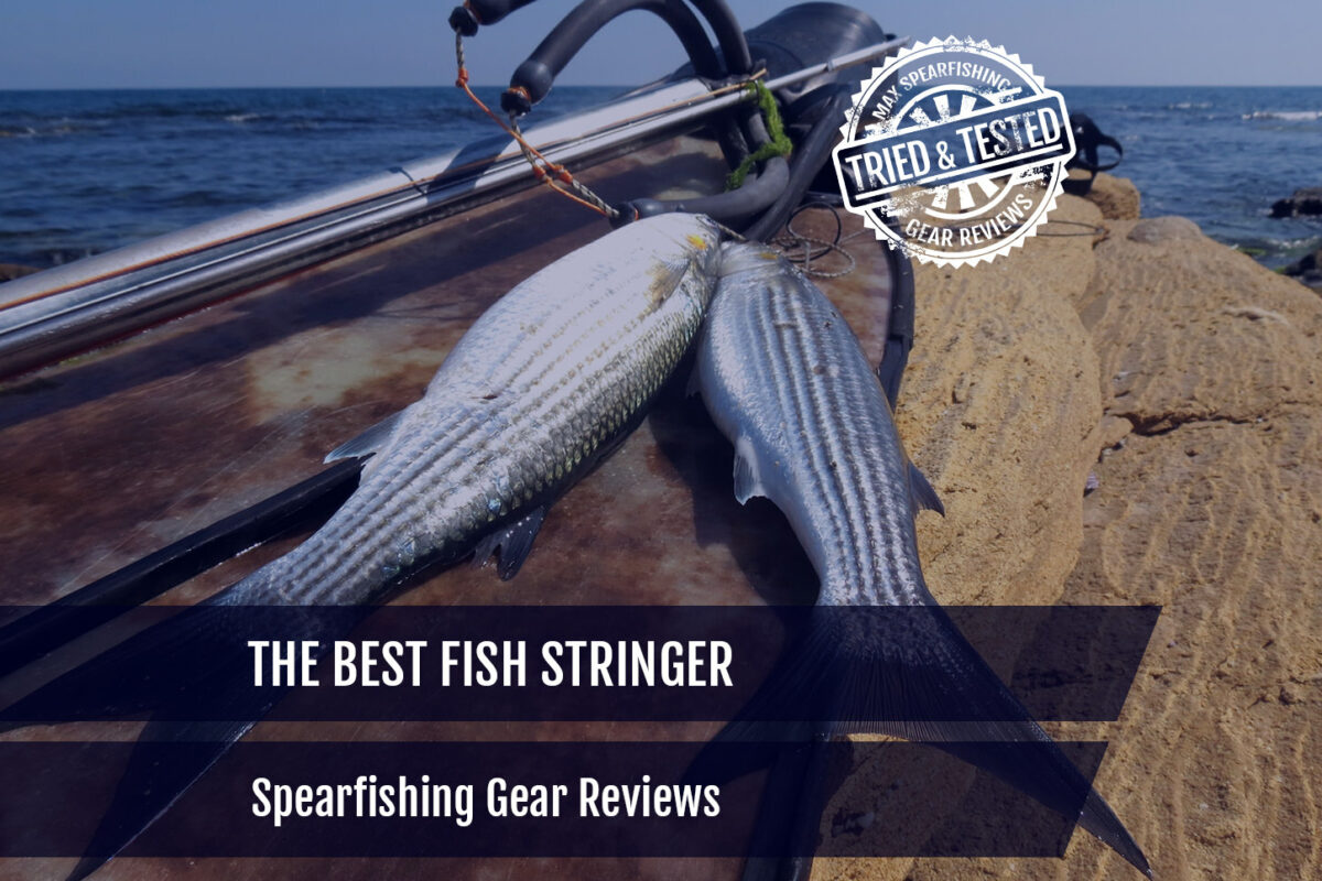 the best fish stringer for spearfishing