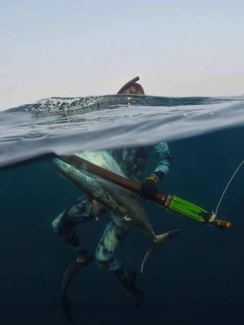 Spearfishing Advice and Techniques