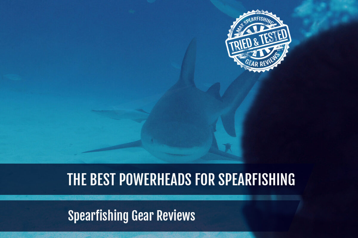 The Best Powerheads for Spearfishing