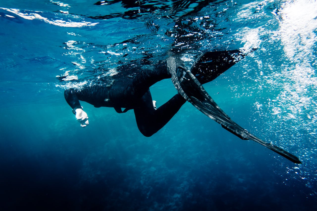Understand the different types of spearfishing fins