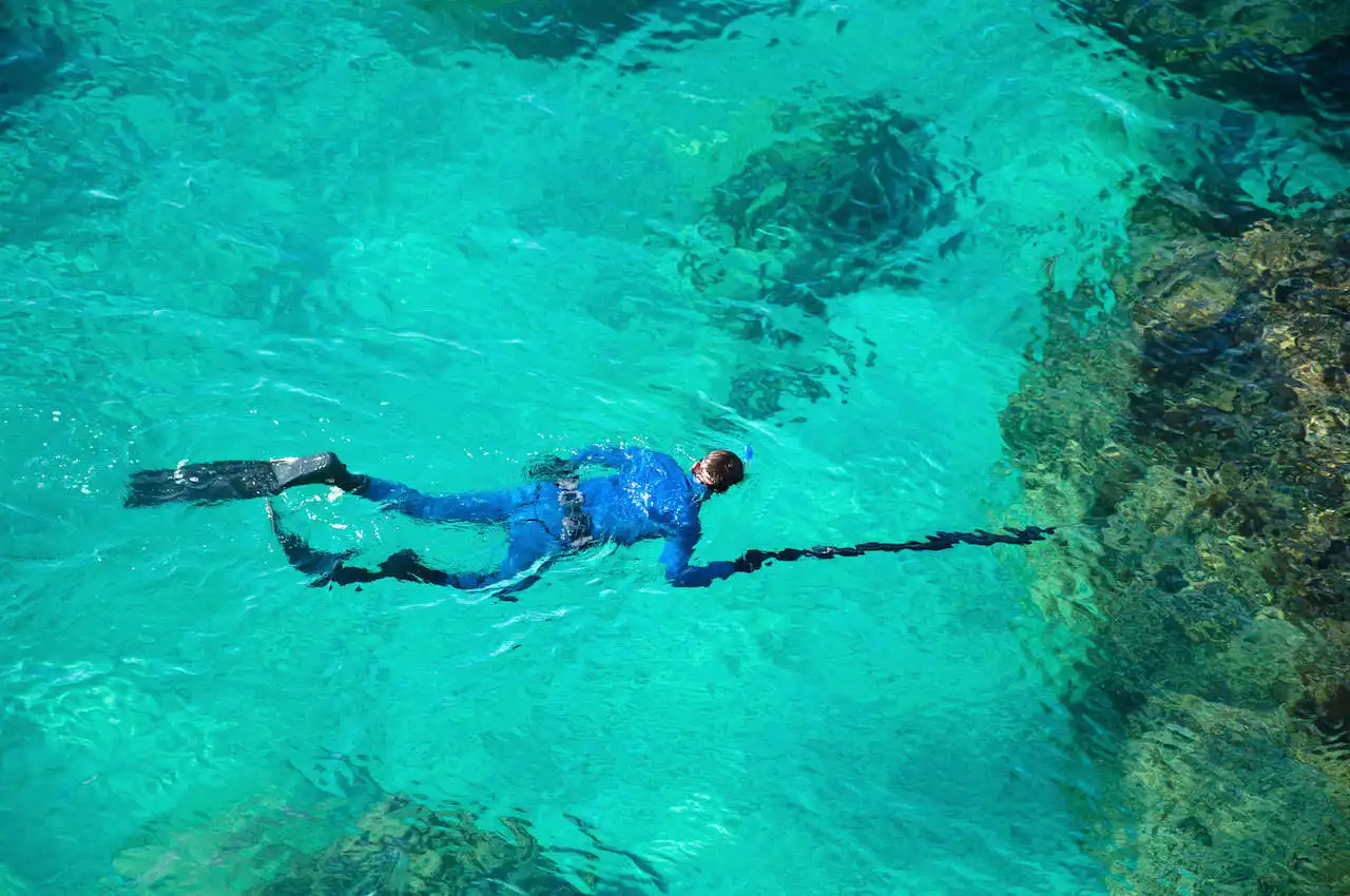 Spearfishing tips for beginners learning to spearfish