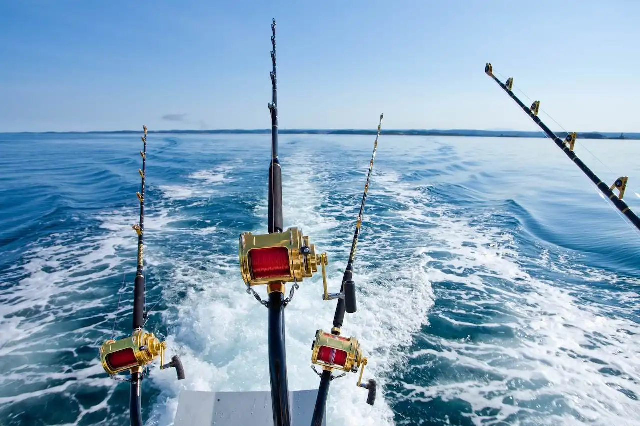 spearfishing vs line fishing