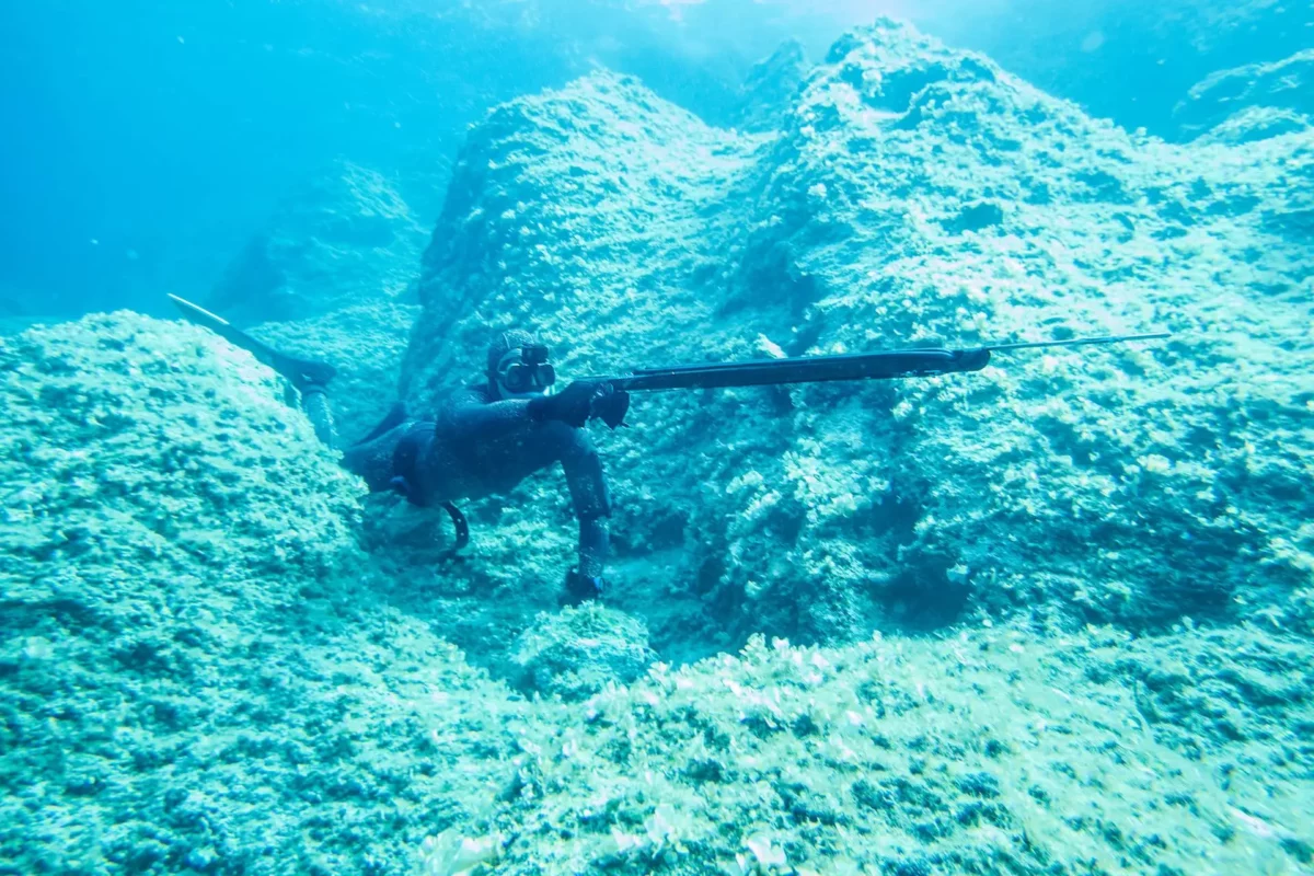 spearfishing equipment list to improve your spearfishing