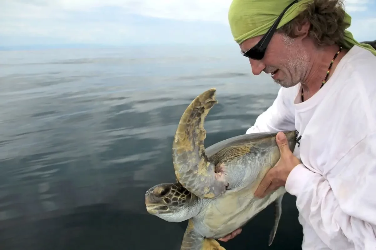 spearfishing knife to free turtle