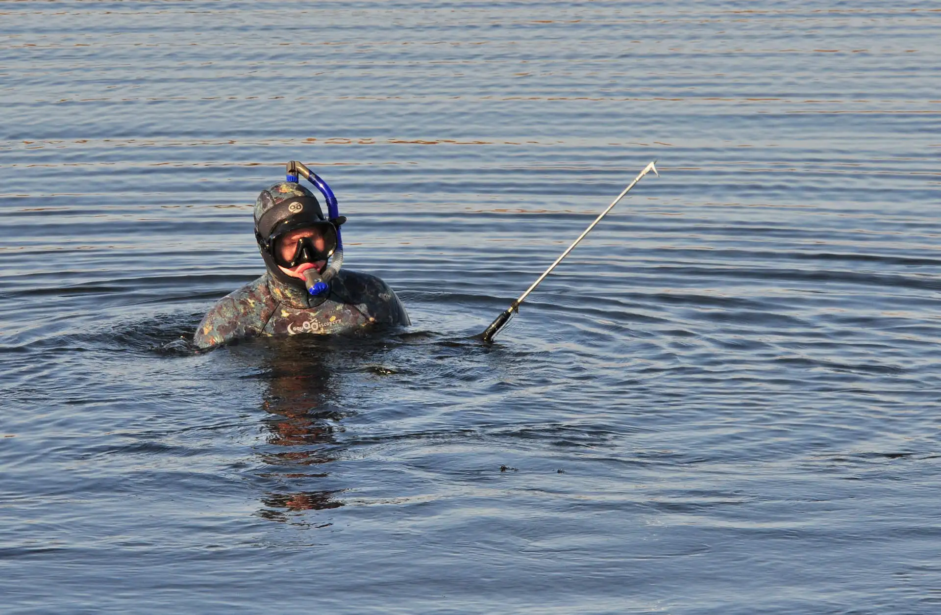spearfishing with a wetsuit hood