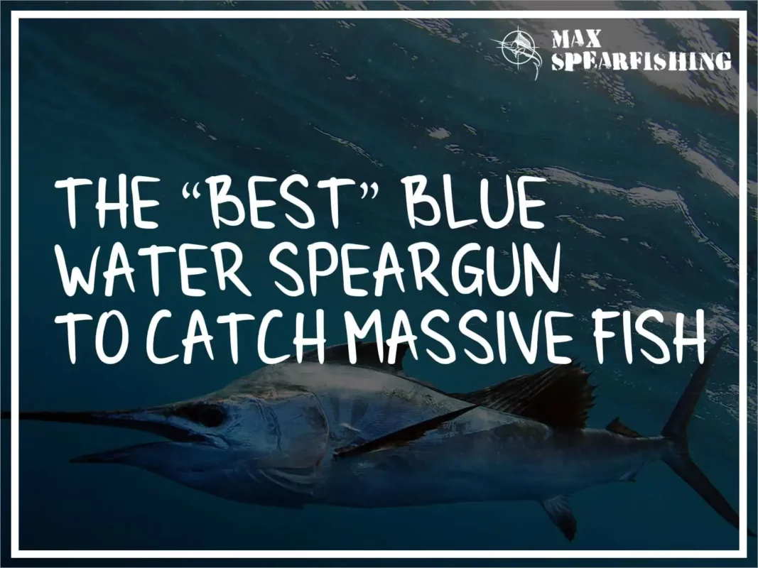 the best blue water speargun to catch-massive fish